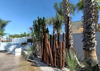 Terrazza - Villa Via Paolo Ancora
 
36, San Pietro Vernotico - foto 58