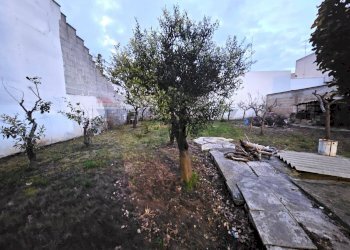 Giardino - Casa indipendente Via Berlinguer
 
snc, Cellino San Marco - foto 22