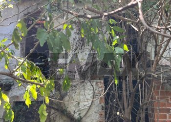 Non correlato - Independent house Vicolo dell'incendio
 
10, Invorio - photo 12