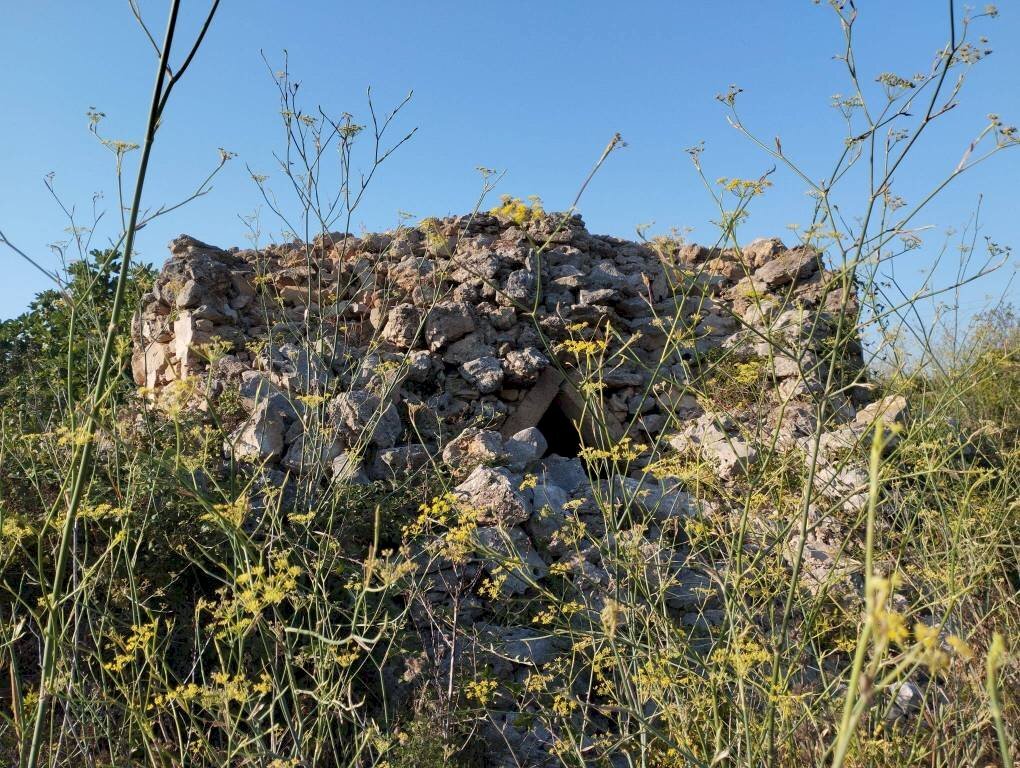 Terreno - Terreno agricolo contrada Fabbrica, Alezio - foto 1