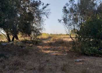 Terreno - Terreno agricolo contrada Fabbrica, Alezio - foto 2