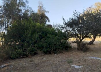 Terreno - Terreno agricolo contrada Fabbrica, Alezio - foto 3