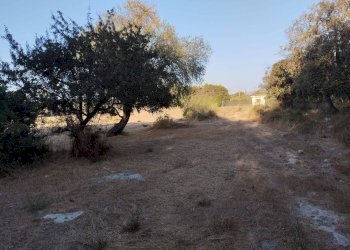 Terreno - Terreno agricolo contrada Fabbrica, Alezio - foto 4