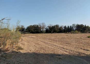 Terreno - Terreno agricolo contrada Fabbrica, Alezio - foto 9