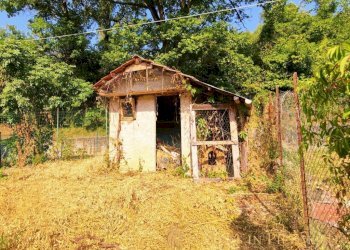 Terreno - Rustico Paroldo - foto 15