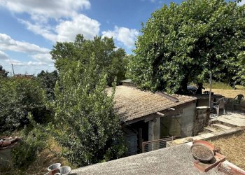 Rustic piazza lupi, 5, Altavilla Monferrato - photo 5
