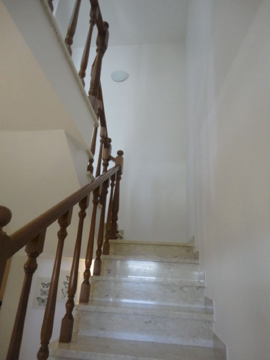Villa Ravenna - foto 3
