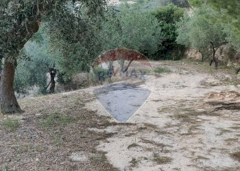 Giardino - Commercial Premises Contrada Purgatorio
snc, Monte Sant'Angelo - photo 24
