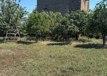 Foto 5 - Terreno agricolo Traversa Strada Provinciale, Brusciano - foto 5