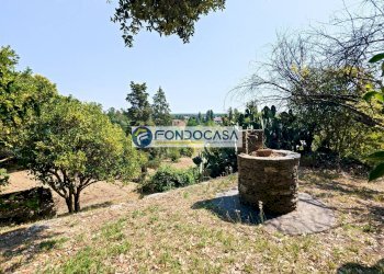 pozzo - Villa Via Rafaello Sanzio, Pietrasanta - photo 29