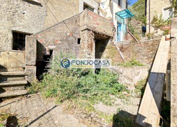 giardino - Rustico Via Martiri del Lavoro, Seravezza - foto 6