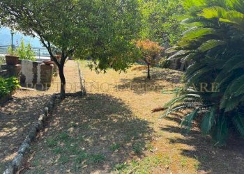 Terreno - Villa Lungomare Federico da Pagana, Rapallo - photo 45