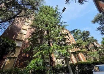 Facciata - Three-room apartment via dei Mirtilli, Bologna (neighborhood Murri) - photo 2