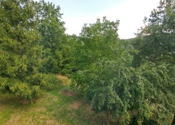 bilocale SAMONE con TERRENO (8) - Appartamento Via Nicolai 1905, Guiglia - foto 8