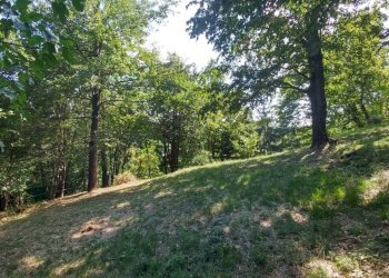 bilocale SAMONE con TERRENO (25) - Appartamento Via Nicolai 1905, Guiglia - foto 25