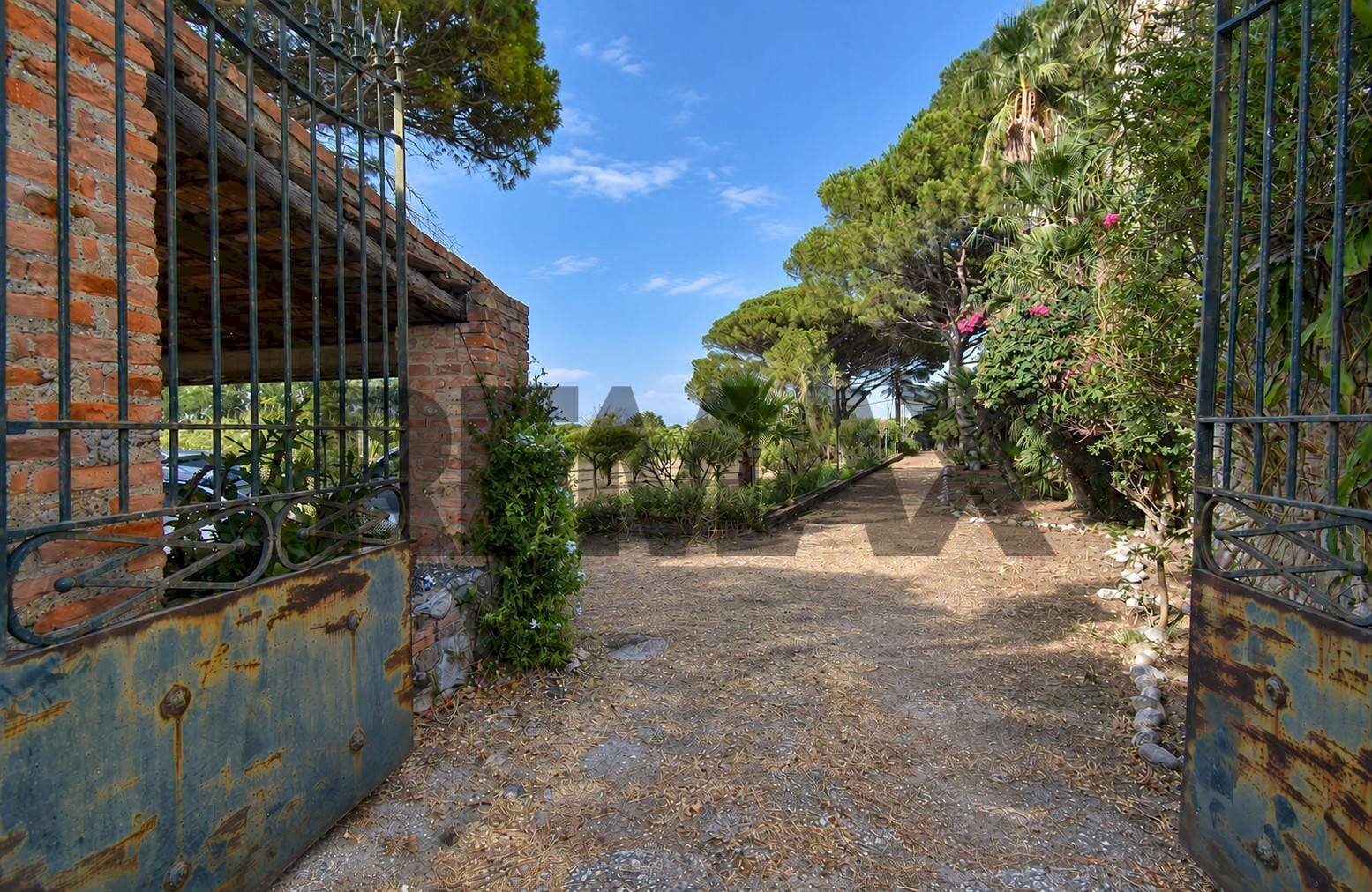 Giardino - Rustic Via Scoglio/Contrada Gallo
snc, Messina - photo 2