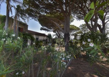 Giardino - Rustic Via Scoglio/Contrada Gallo
snc, Messina - photo 36