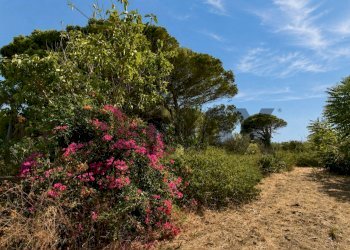 Giardino - Rustic Via Scoglio/Contrada Gallo
snc, Messina - photo 154