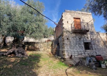 Casa all\'aperto - Terreno agricolo Località Lama le Noci
snc, Vieste - foto 20