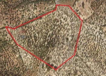 Posizione della mappa - Terreno agricolo Località Lama le Noci
snc, Vieste - foto 22