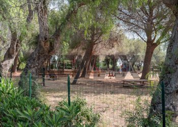 Giardino - Villa a Schiera C.da Kastalia Piombo
 
snc, Santa Croce Camerina - foto 44