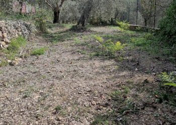 Foto 5 - Villa Via Fanny Roncati Carli, Imperia - photo 5