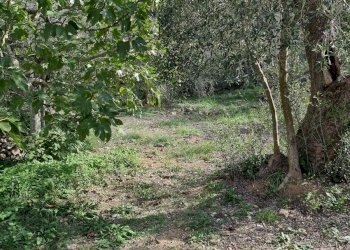 Foto 6 - Villa Via Fanny Roncati Carli, Imperia - photo 6