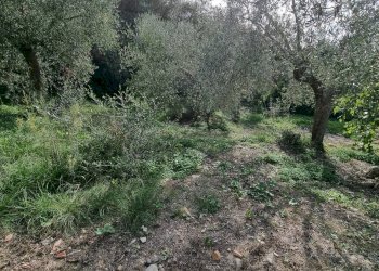 Foto 7 - Villa Via Fanny Roncati Carli, Imperia - photo 7