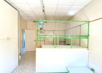 Independent house Via giardino, Forlimpopoli - photo 36