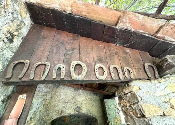Foto 46 - Rustico via praetto, Erli - foto 46