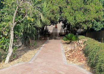 Giardino - Appartamento Via Santa Sofia
 
20, Catania - foto 53