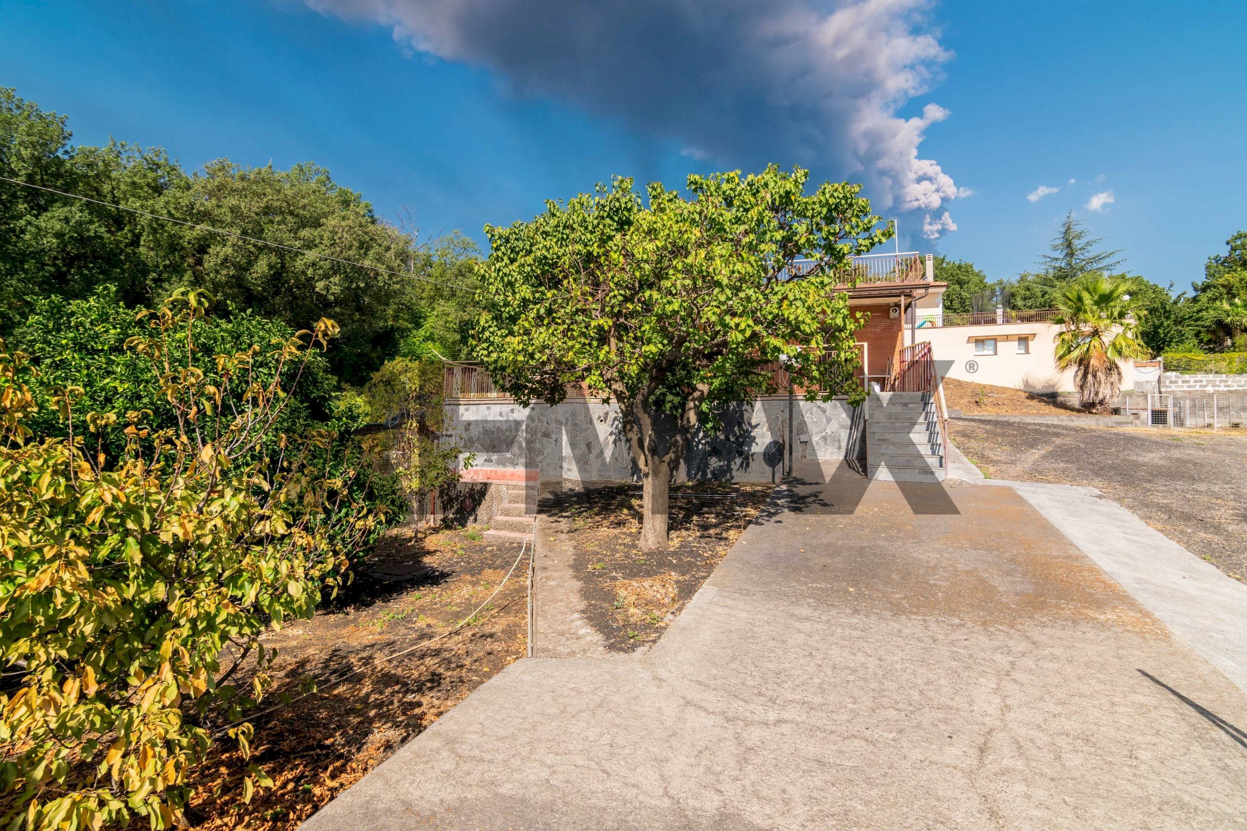 Giardino - Casa indipendente Via Bruno Giordano/Via Passopomo
30, Zafferana Etnea - foto 3