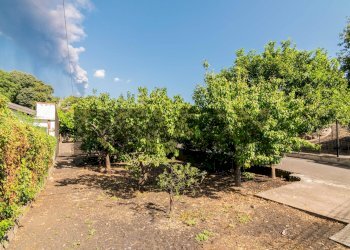 Giardino - Casa indipendente Via Bruno Giordano/Via Passopomo
 
30, Zafferana Etnea - foto 22