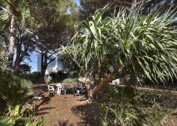 Giardino - Rustic Via Scoglio/Contrada Gallo
snc, Messina - photo 22