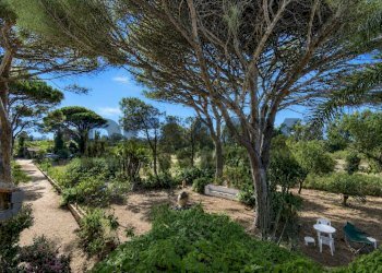 Giardino - Rustic Via Scoglio/Contrada Gallo
snc, Messina - photo 51