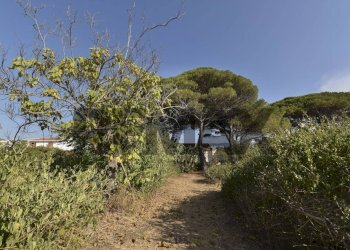 Giardino - Rustic Via Scoglio/Contrada Gallo
snc, Messina - photo 89