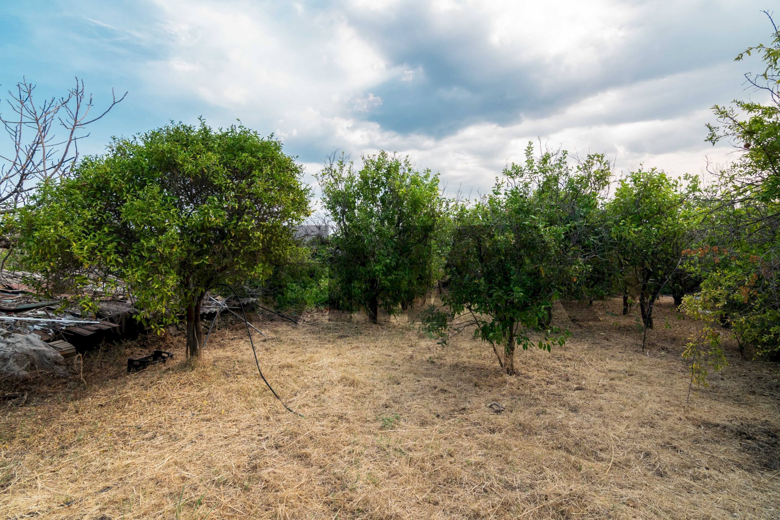Giardino - Terreno agricolo Via Pasiano
 
snc, Acireale - foto 1