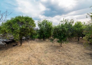 Giardino - Terreno agricolo Via Pasiano
snc, Acireale - foto 1