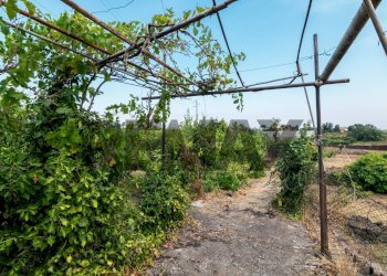 Giardino - Terreno agricolo Via Pasiano
snc, Acireale - foto 14