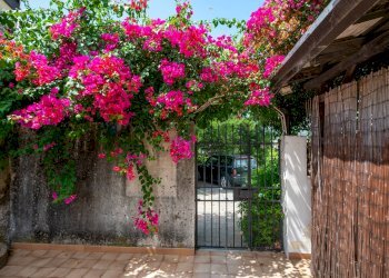 Giardino - Villa pasteria
 
19/E, Calatabiano - photo 20