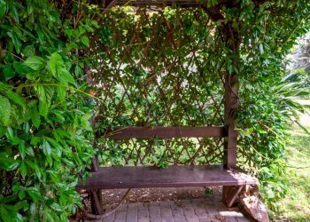 Giardino - Villa pasteria
 
19/E, Calatabiano - photo 23