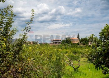 Giardino - Villa pasteria
 
19/E, Calatabiano - photo 80