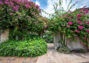 Giardino - Villa pasteria
 
19/E, Calatabiano - photo 83
