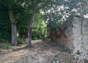 Giardino - Casa indipendente C.da Favara
 
sn, Carlentini - foto 19