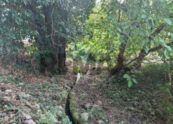 Giardino - Casa indipendente C.da Favara
 
sn, Carlentini - foto 20
