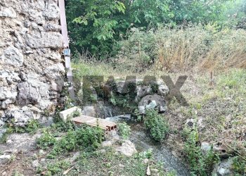 Giardino - Casa indipendente C.da Favara
 
sn, Carlentini - foto 28