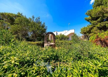 Terreno - Villa SP88, Ugento - foto 43