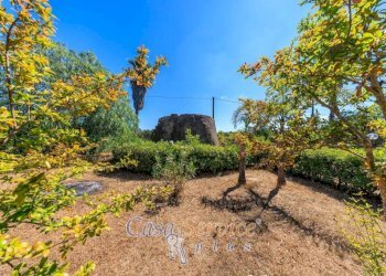 Terreno - Villa SP88, Ugento - foto 45