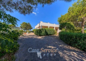 Giardino - Villa SP88, Ugento - foto 46