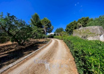 Terreno - Villa SP88, Ugento - photo 43